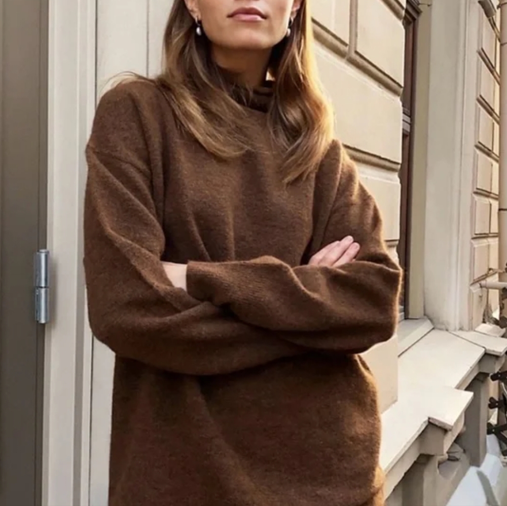 Wilfred Brown Turtleneck Sweater